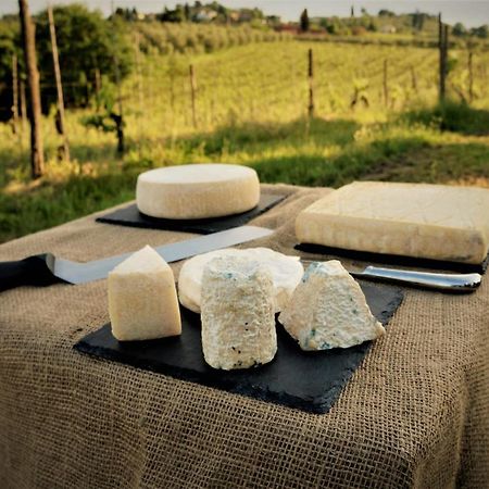 Agriturismo Fattoria Le Caprine Gambassi Terme Eksteriør bilde