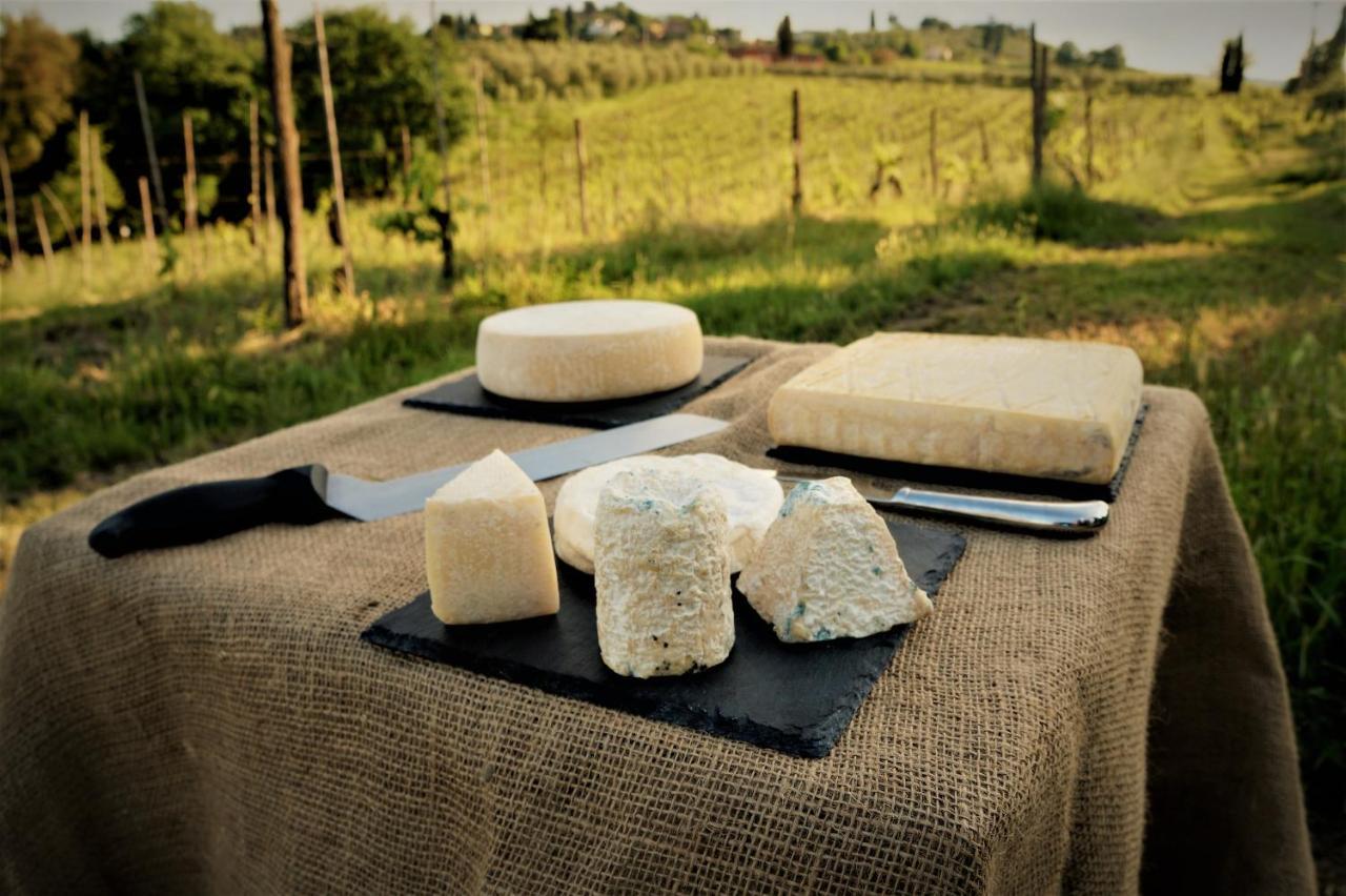 Agriturismo Fattoria Le Caprine Gambassi Terme Eksteriør bilde