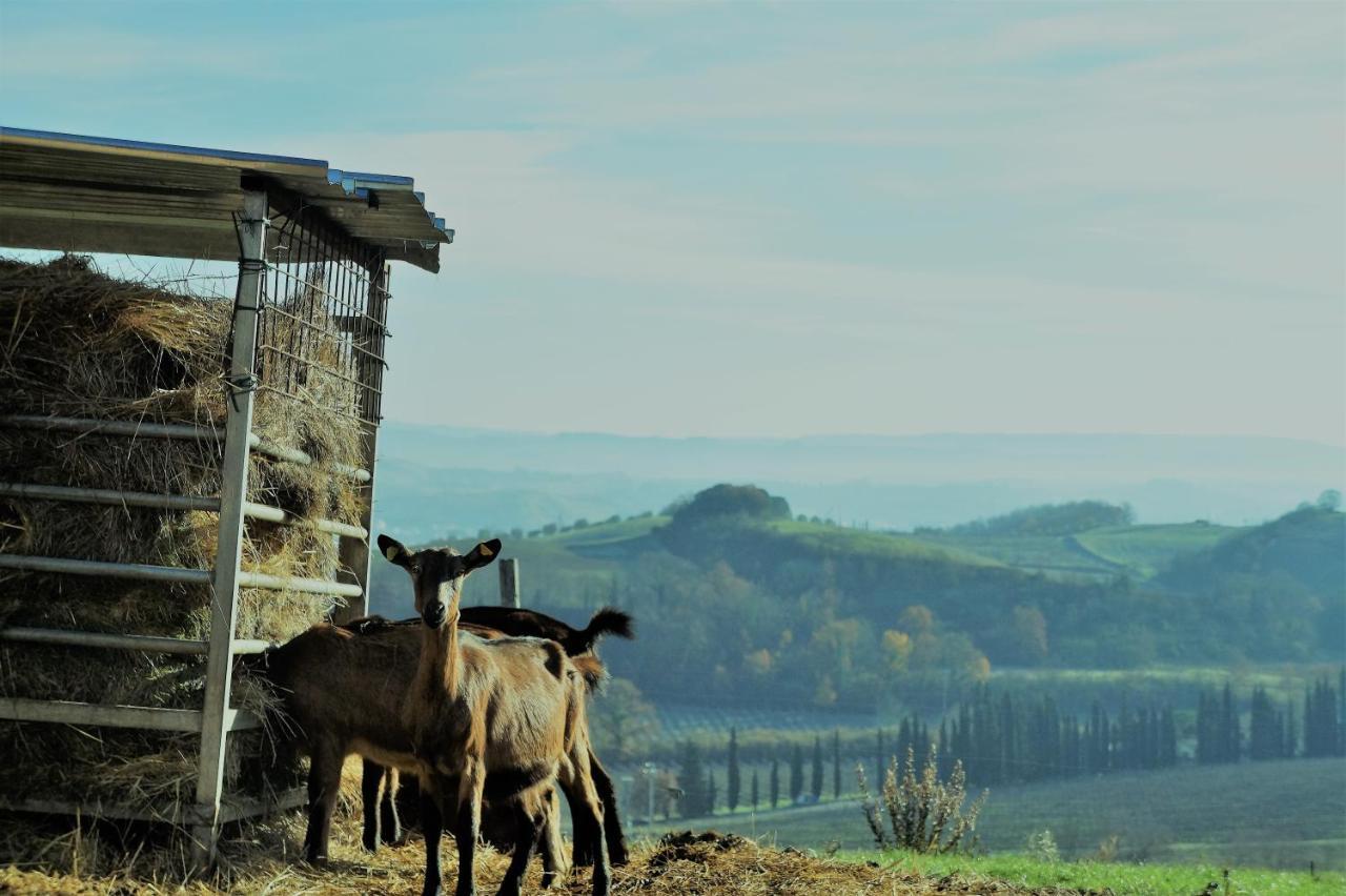 Agriturismo Fattoria Le Caprine Gambassi Terme Eksteriør bilde