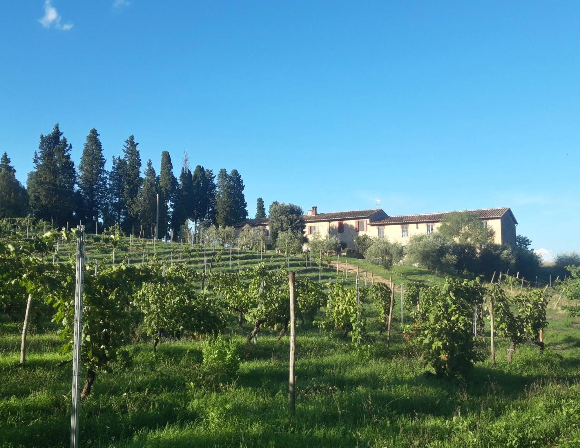 Agriturismo Fattoria Le Caprine Gambassi Terme Eksteriør bilde