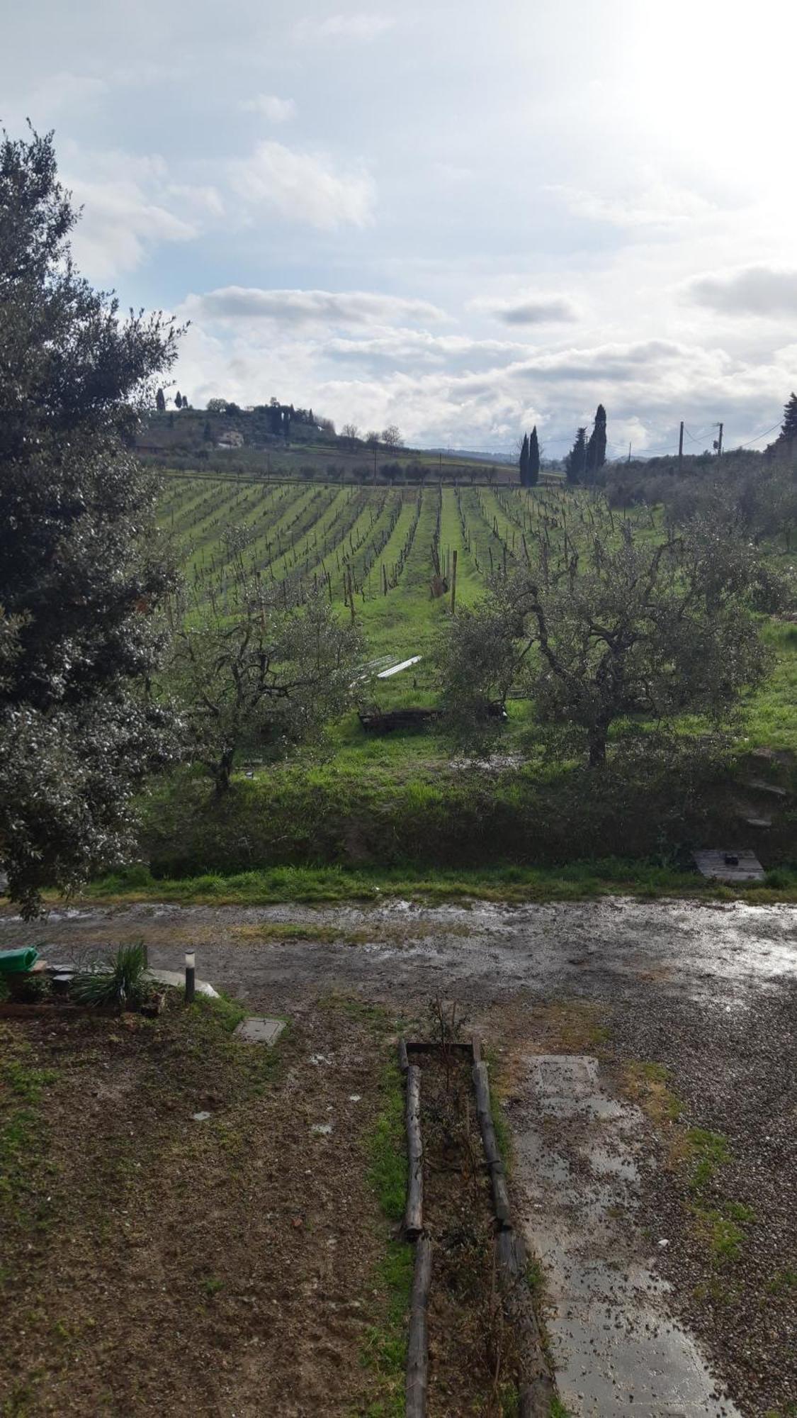 Agriturismo Fattoria Le Caprine Gambassi Terme Eksteriør bilde